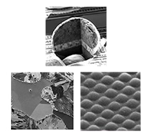 FIBデータギャラリー