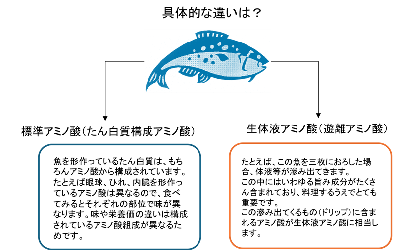 図4　標準アミノ酸と生体液アミノ酸