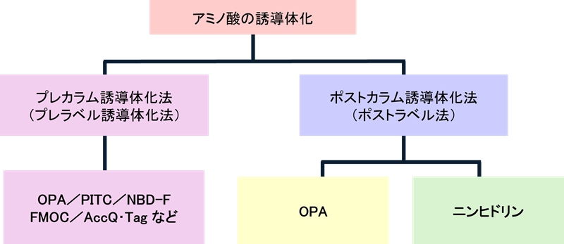 図5　アミノ酸の誘導体化法