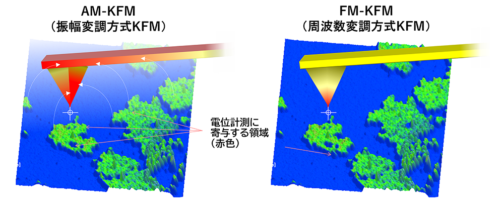 AM-KFMおよびFM-KFMが検出する電位モデル