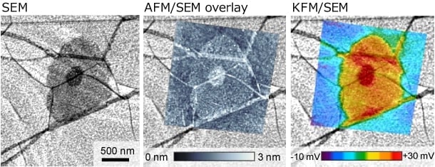 SEM-AFM同一視野観察例（試料：グラフェン/SiO2）