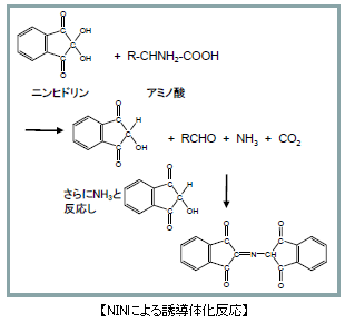 NINによる誘導体化反応の図解