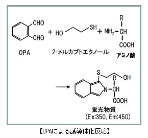 NINによる誘導体化反応の図解