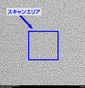 カーボンフィルム上の金蒸着粒子 ZONETEMⅡで処理後に観察