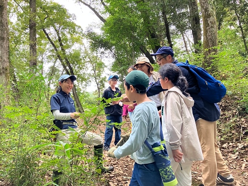 森林散策の様子。山椒の葉を観察しています。