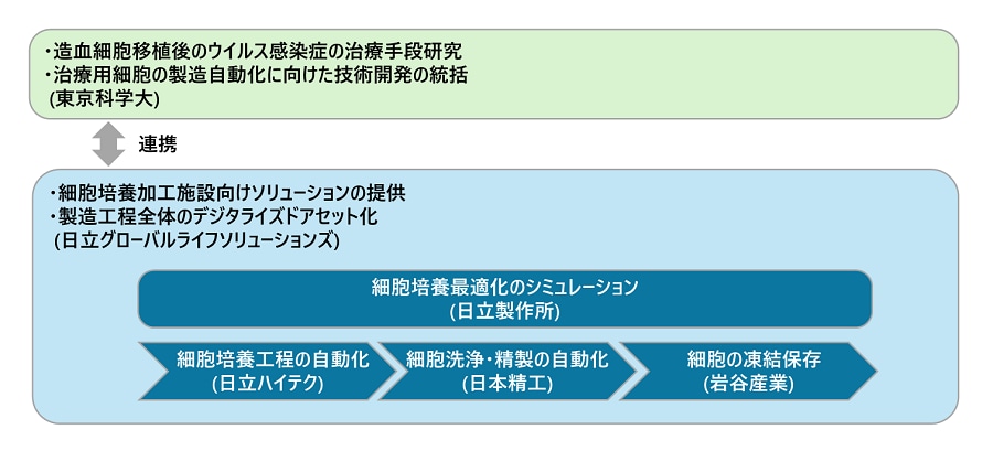 治療用細胞の製造自動化に向けた共同開発の体制(イメージ図)