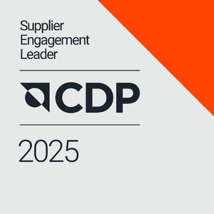 CDP 2025