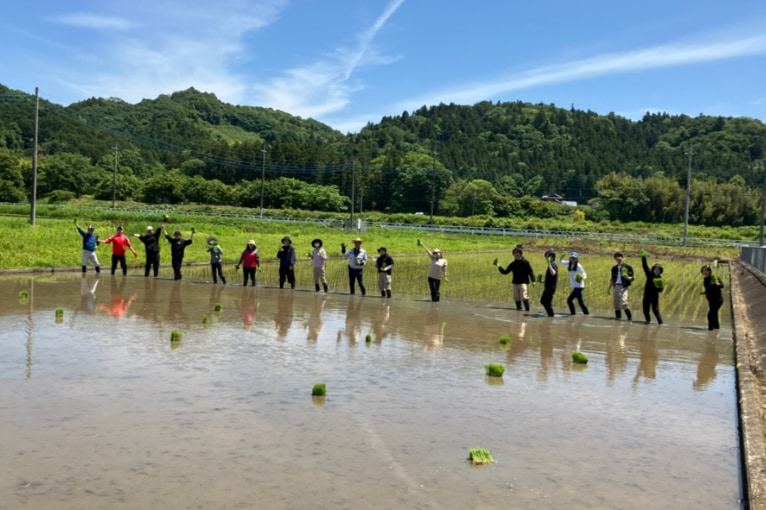 田植え作業開始