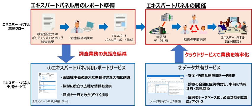 エキスパートパネル支援サービス