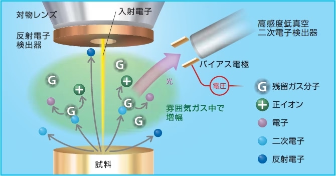 高感度低真空二次電子検出器の検出原理