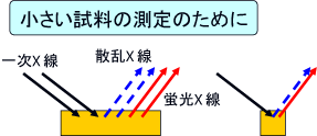 試料のサイズ補正