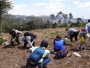 写真：社員と家族で苗木を植栽（2005年）