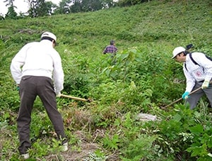 写真：下草刈りを行い、苗木を守ります（2006年～2010年）