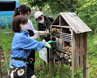 Replacing the nesting material at the Insect Hotel with bamboo grass cut down in forest maintenance