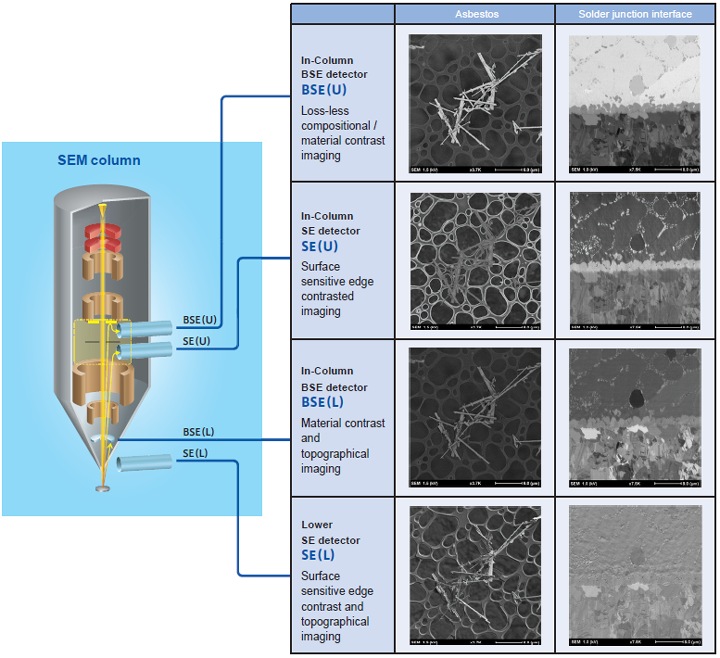 고성능 SEM 컬럼