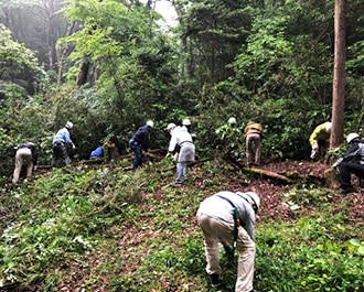 Forest maintenance work by participants