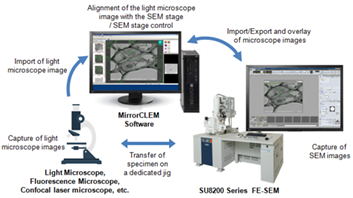 MirrorCLEM System for Correlative Light and Electron Microscopy