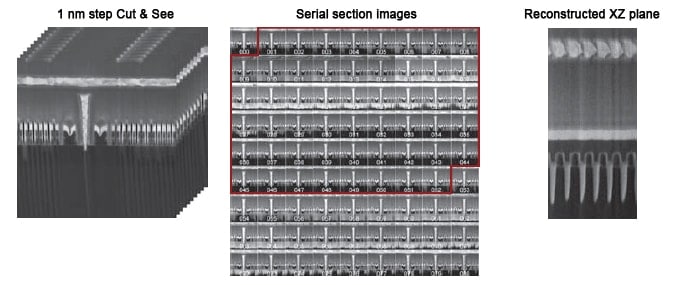 1nm step Cut&See , Serial section images