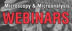 Hitachi Microscopy and Microanalysis Webinar Series