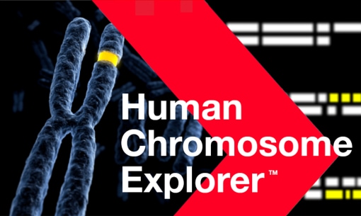 Human Chromosome Explorer™ (HCE)